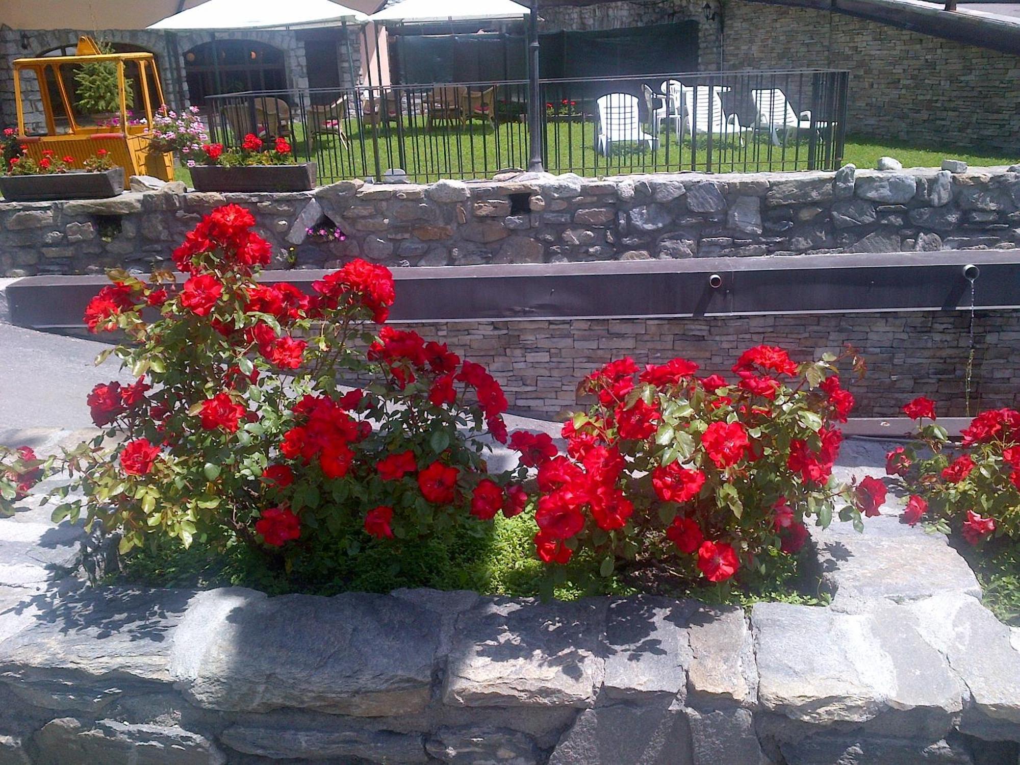 Hotel Ih Mont Blanc Courmayeur